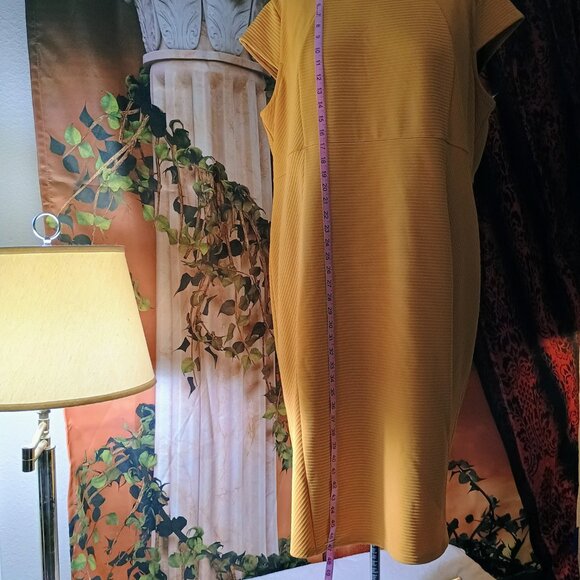 NWOT: Cato Sze 26W Mustard Ribbed Dress - Picture 4 of 8